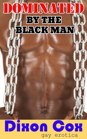 Book cover of Dominated By The Black Man