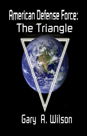 Cover of American Defense Force: The Triangle