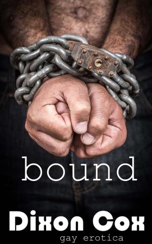 Cover of the book Bound by Cindy Cumby