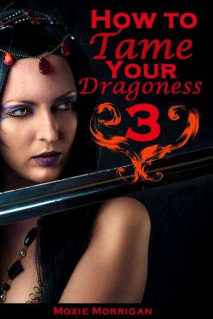 Book cover of How to Tame Your Dragoness 3