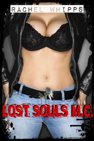bigCover of the book Lost Souls Motorcycle Gang by 