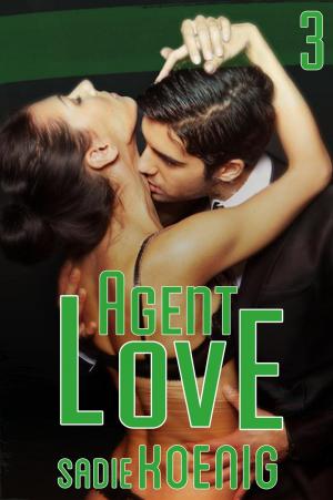 Cover of the book Agent Love Book #3 by Sadie Koenig