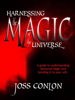 Cover of the book Harnessing the Magic of the Universe by Blackdragon