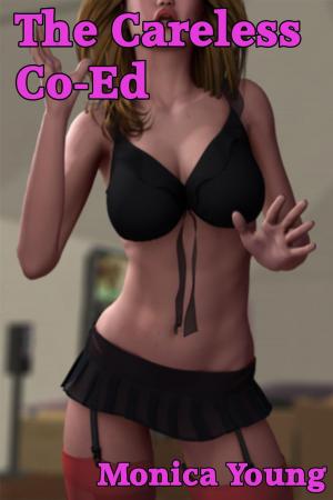 Cover of the book The Careless Co-Ed by Audra Black