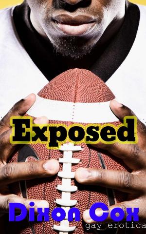 Cover of the book Exposed by Cindy Cumby