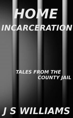 Cover of the book Home Incarceration by Bart Hopkins