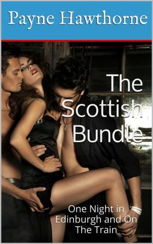 Cover of the book The Scottish Bundle by Amy Redd