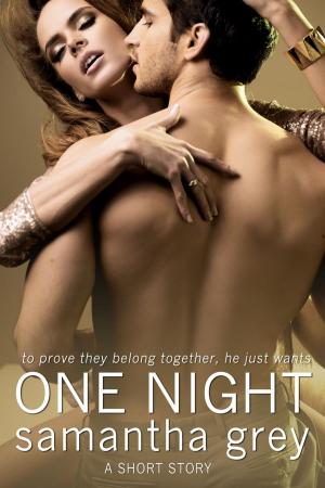 Cover of the book One Night by James Richards, Kenneth Moody