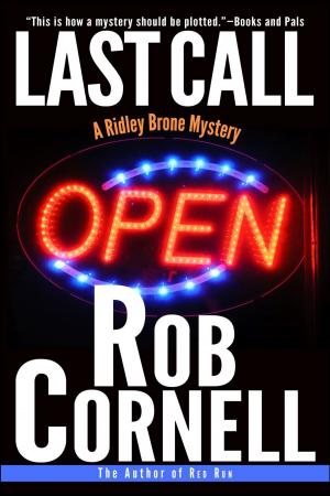 Cover of the book Last Call by Patrick Quinlan