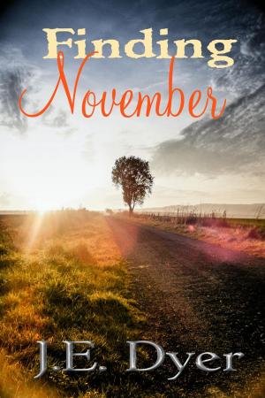 Cover of the book Finding November by Hank Chapot