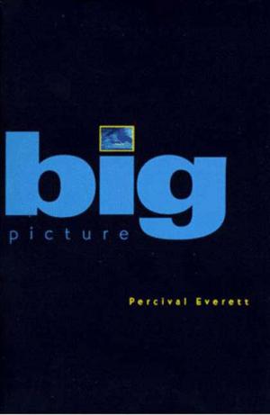 Cover of the book Big Picture by Steve Stern