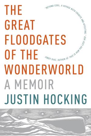 Book cover of The Great Floodgates of the Wonderworld