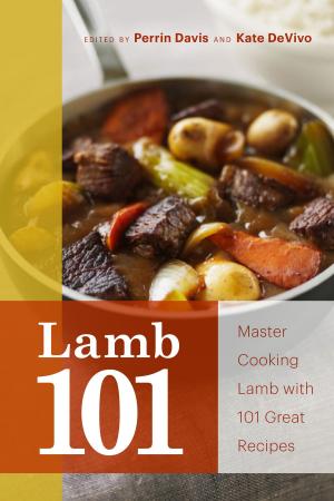 Cover of the book Lamb 101 by Moni Basu