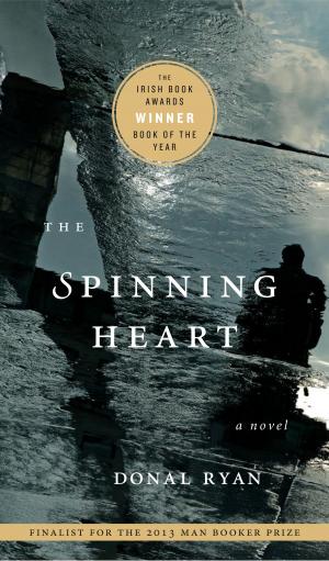 Cover of the book The Spinning Heart by Jostein Gaarder