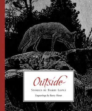 Cover of the book Outside by Dean Young, Christopher Merrill, Marvin Bell, Tomaz Salamun, Simone Inguanez, Istvan Laszlo Geher, Ksenia Golubovich