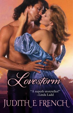 Cover of the book Lovestorm by Adrienne Basso