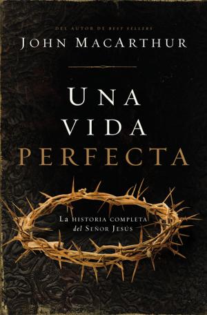 Book cover of Una vida perfecta