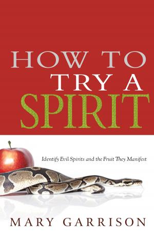 Cover of the book How to Try a Spirit by Ludovic Robert