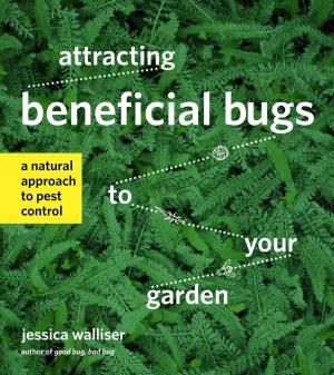 Cover of the book Attracting Beneficial Bugs to Your Garden by Edward Lyon