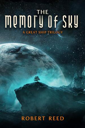 Cover of the book The Memory of Sky by Richard Parks