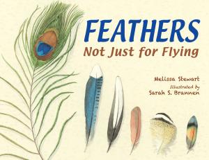 Cover of the book Feathers by Anna McQuinn