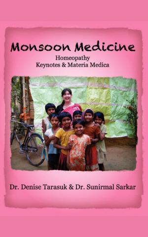 Cover of the book Monsoon Medicine by Amber Plum