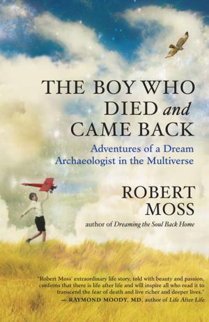 Cover of the book The Boy Who Died and Came Back by Robin Ganzert, PhD, , Allen & Linda Anderson