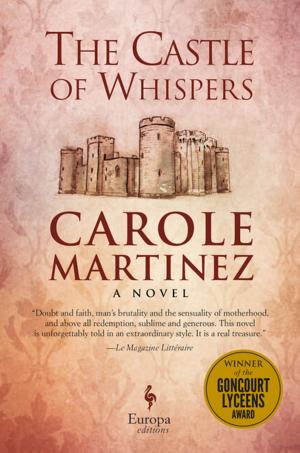 Cover of the book The Castle of Whispers by Deirdre Madden