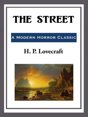 Cover of the book The Street by George Macdonald