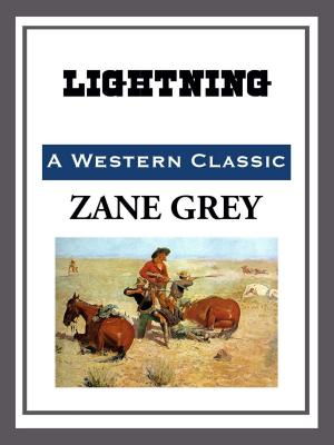 Cover of the book Lightning by Dorothy Quick