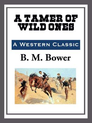 Cover of the book A Tamer of Wild Ones by David Lindsay
