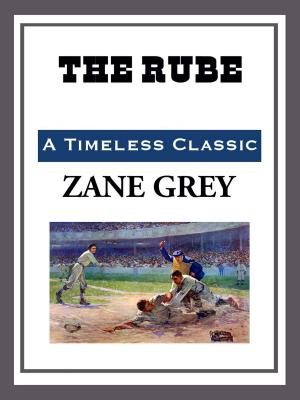 Cover of the book The Rube by Zane Grey