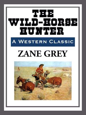 Cover of the book The Wild-Horse Hunter by Arthur B. Waltermire