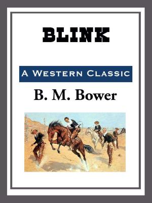 Cover of the book Blink by J. F. Bone
