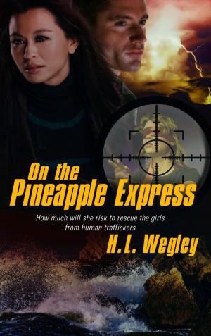 Cover of the book On the Pineapple Express by Lilly Maytree