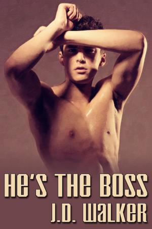 Cover of the book He's the Boss by Clare London