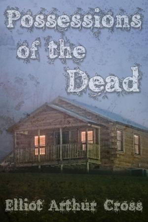 Cover of the book Possessions of the Dead by J.M. Snyder
