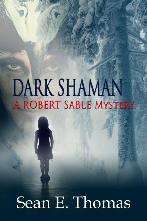 Book cover of Dark Shaman