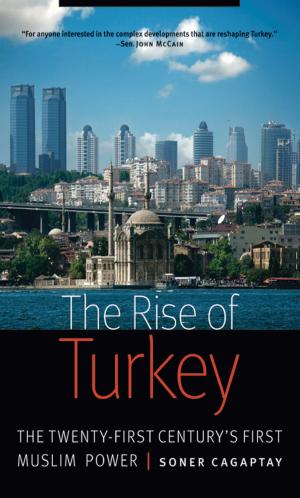 Cover of the book The Rise of Turkey by Barry R. Schaller