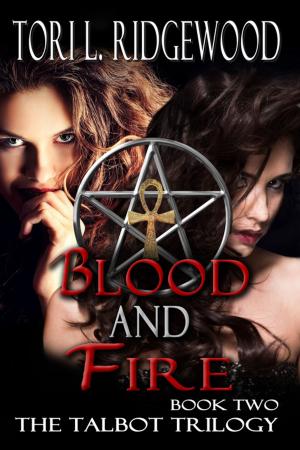 Cover of the book Blood and Fire by Jaden Sinclair