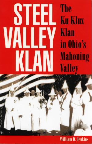 Book cover of Steel Valley Klan
