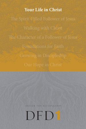 Cover of the book Your Life in Christ by Dan Allender