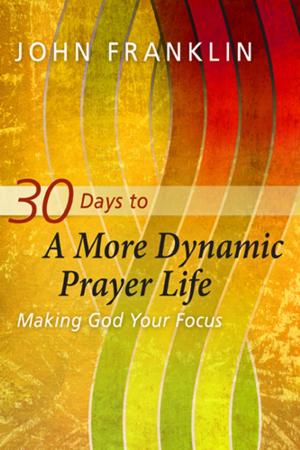 Cover of the book 30 Days to a More Dynamic Prayer Life by Kellye Fabian