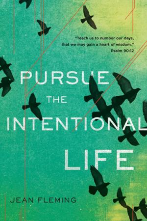 Cover of the book Pursue the Intentional Life by Leonard Sweet