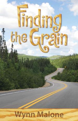 Cover of the book Finding the Grain by Elana Dykewomon