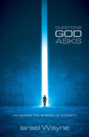 bigCover of the book Questions God Asks by 