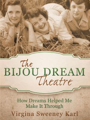 Cover of the book The Bijou Dream Theatre by David Vozzy