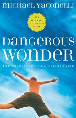 Cover of the book Dangerous Wonder by Jen Hatmaker