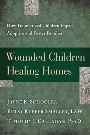 Book cover of Wounded Children, Healing Homes