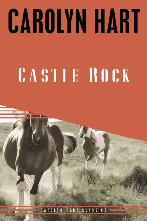 Cover of the book Castle Rock by Steve Goble